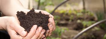 New technology for the development of agricultural and industrial waste in bio-charcoal and thermal